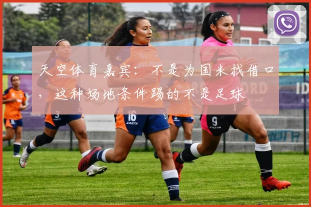 天空体育嘉宾：不是为国米找借口，这种场地条件踢的不是足球